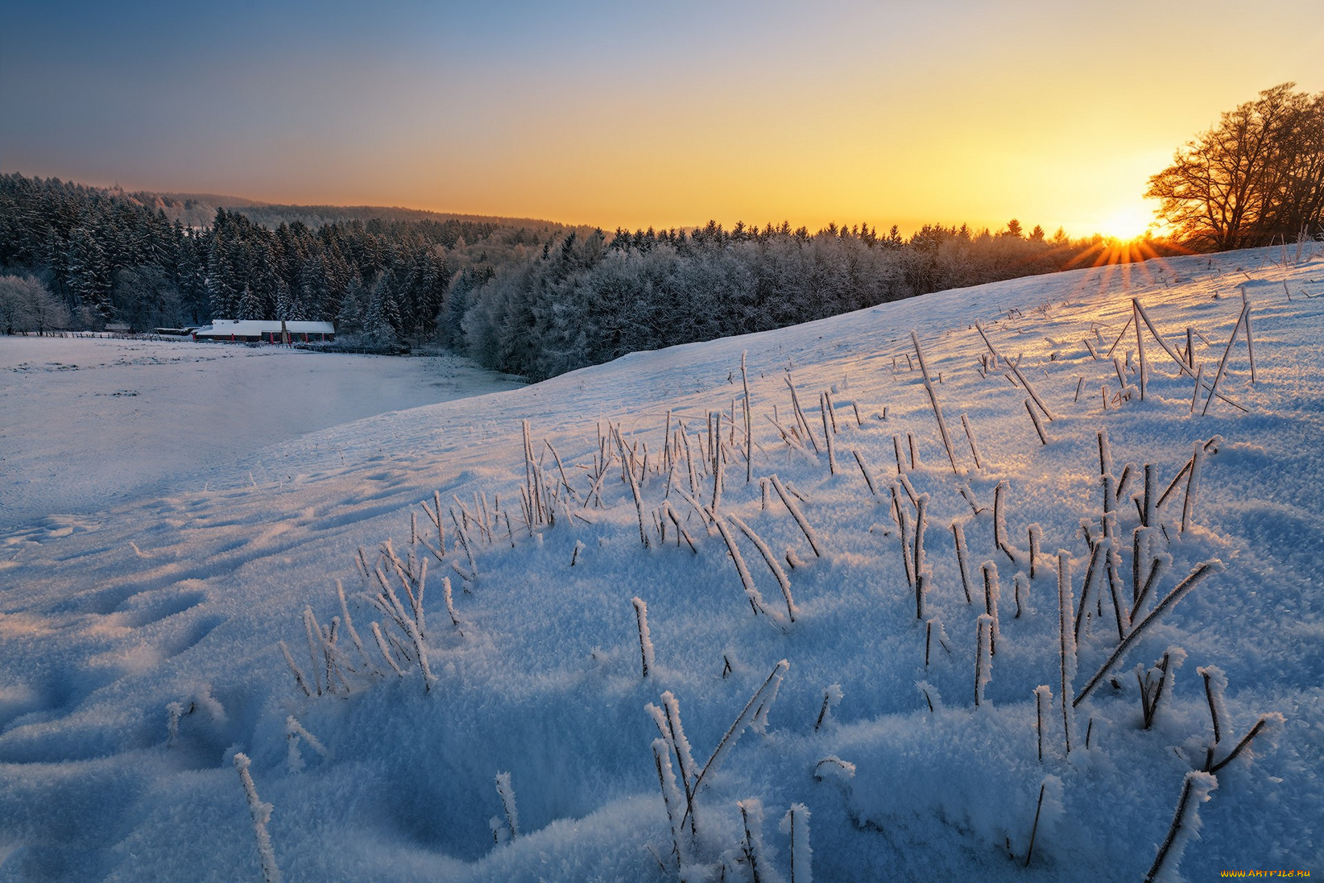 Snowy morning. Родина зима. Снежное утро. Снежные просторы поля вечереет. Фотоработы зимние просторы.